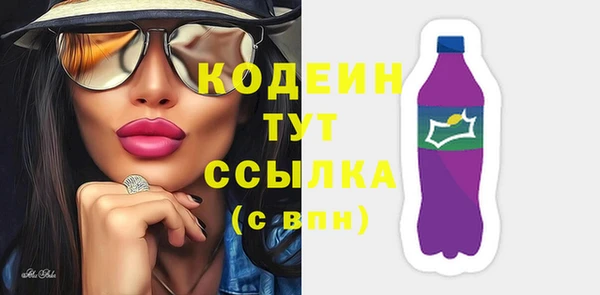 дмт Вяземский