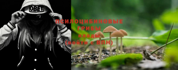 прущая мука Горняк