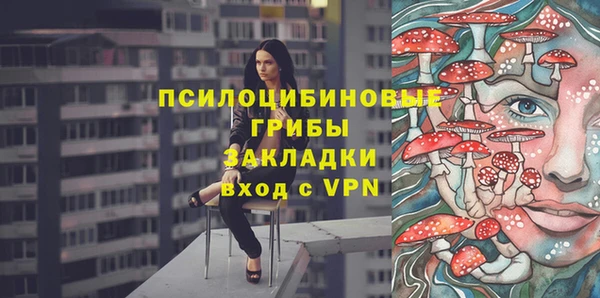 ALPHA-PVP Горнозаводск