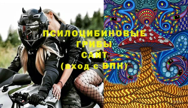 прущая мука Горняк