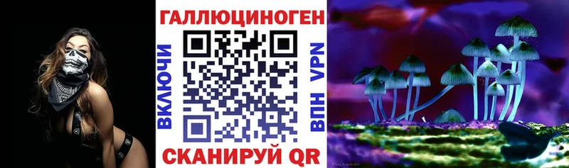 blacksprut онион купить закладку Тихвин Псилоцибиновые грибы Magic Shrooms